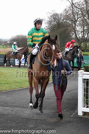 01st Stand Up And Fight and Mr D O'Connor ( 10 , orange and green hoops ) Trainer - E Bolger , Owner - John P McManus