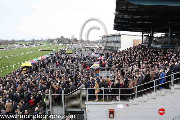 Large crowd at oOwn Royal on Boxing Day 2018