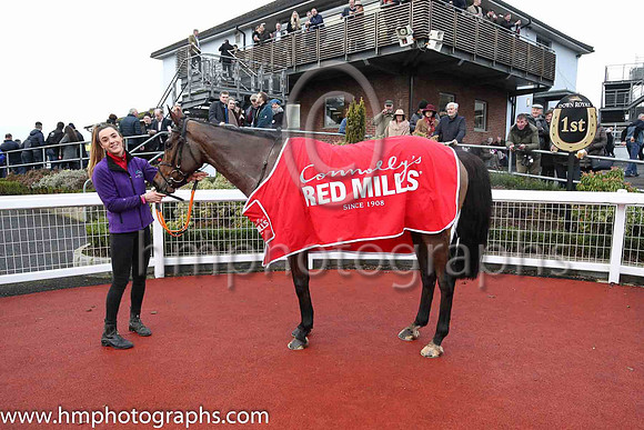 01st Presented Well and D Robinson 3 ( 7 , royal blue, white hoop ) Trainer - H De Bromhead , Owner - Bellamy Syndicate
