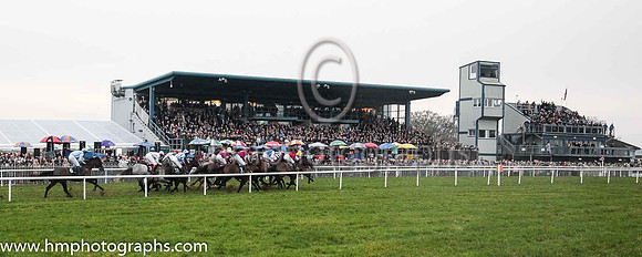 Racing at Down Royal on Boxing Day 2018