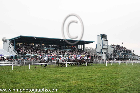 Racing at Down Royal on Boxing Day 2018