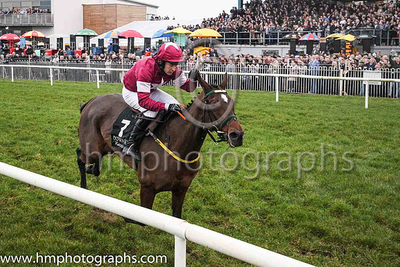 01st Valdieu and Mr M J O'Hare 3 ( 7 , maroon, white star,maroon cap ) Trainer - N Meade , Owner - Gigginstown House Stud