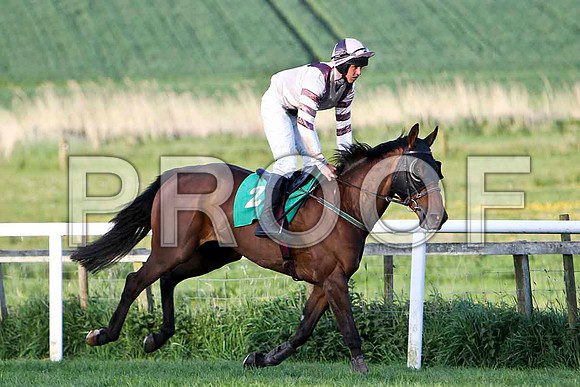 Barnbougle Dunes , 9th, Jockey - Mr R O'Sullivan - FT8E3129-e