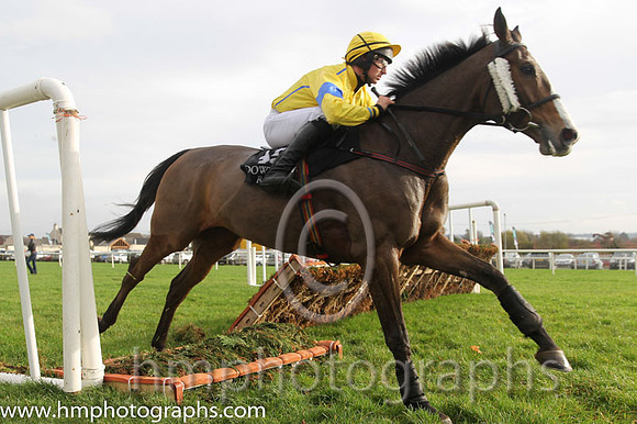 14 so Rustic and S W Flanagan - - 14th (13 ,yellow, royal blue seams ) Trainer - J G Cosgrove