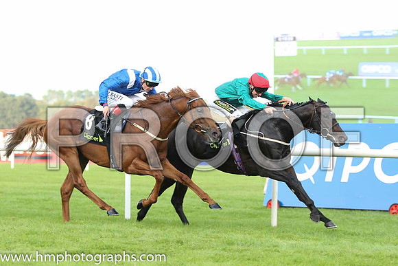 02 Mustajeeb and P J Smullen - - 02nd (8 ,royal blue, white epaulettes ) Trainer -   01 Bow Creek and J Fanning - - 01st (6 ,dark green, red cap ) Trainer - M Johnston