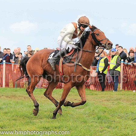 LOUGHVIEW LADDIE and M J O'Hare ( 4 , BEIGE,brown chevron; beige sleeves; brown cap ) Trainer: Mrs John B. Ross,, Owner : Macklin, Sean