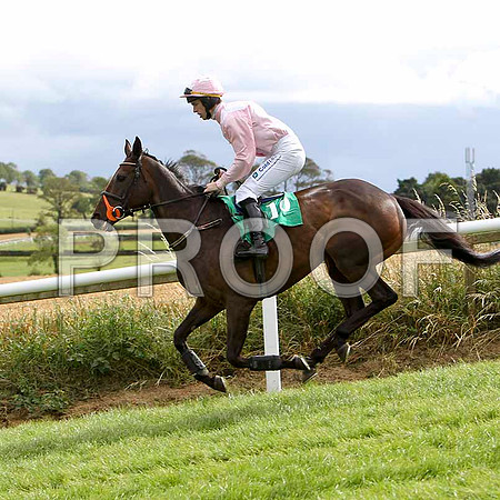 Pink Goddess - 4th , Jockey I J McCarthy - FT8E3861-e