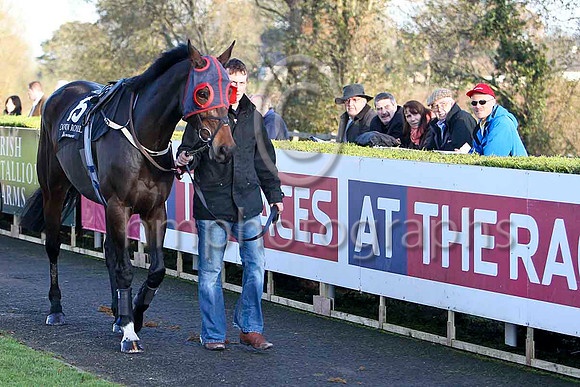 Western Island - PU, JOckey N P Madden - FT8E7155-e