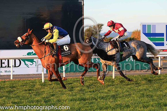 01st Runfordave and Mr L J McGuinness ( 6 , dark blue, yellow diamond ) Trainer - G Elliott , Owner - Mrs P Sloan