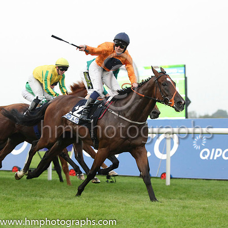 01 Baraweez and C O'Conoghue - - 01st (12 ,orange, dark blue disc ) Trainer - B Ellison