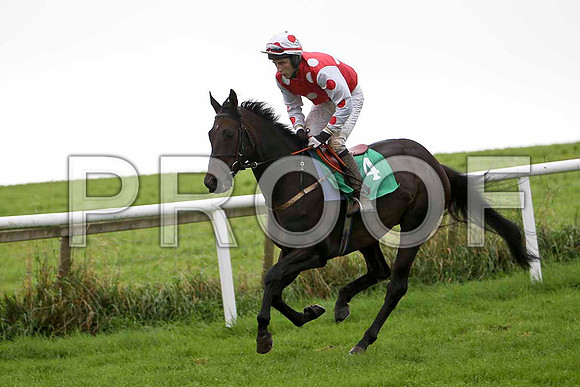 Breeze With Ease , Jockey E J O'Connell - Winner - CU2D2301-e