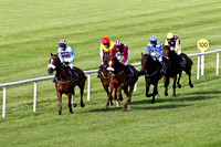 Soldier Bay in the lead , Jockey A E Lynch - 5th - FT8E3811-e