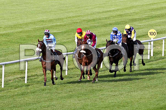 Soldier Bay in the lead , Jockey A E Lynch - 5th - FT8E3811-e