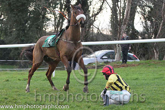 10 FergieTheLegend & Mr J P McKeown - Fell (4, black and yellow stripes ) - FT8E1493-34