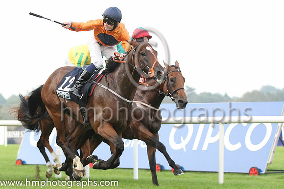 01 Baraweez and C O'Conoghue - - 01st (12 ,orange, dark blue disc ) Trainer - B Ellison