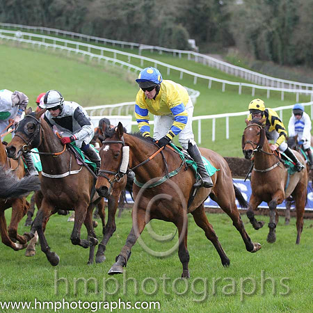 01 Hidden Horizons & P Carberry - winners (11, yellow, blue & yellow hooped sleeves ) - FT8E4376-23