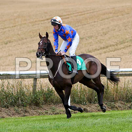 Super Collider - 4th , Jockey B M Cash - FT8E3820-e