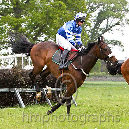 Court In Session , Winner, Jockey J J Codd -FT8E2354-e
