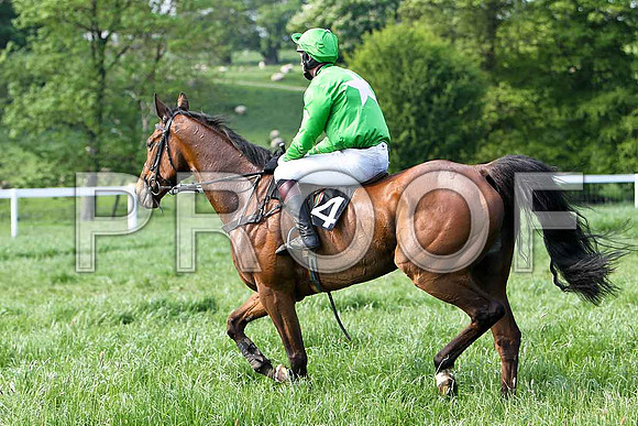 Race 6 Div 2 - Pay As You Go (24) PU, Rider M J Henry - CU2D9842-e