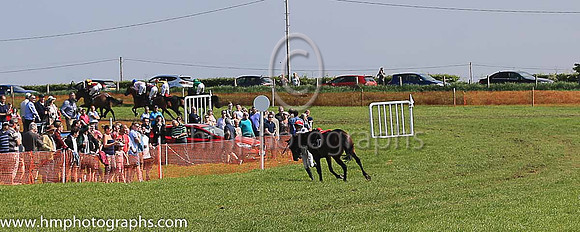 TULLYORIOR and R A Devine ( 10 , PURPLE; white sleeves; red cap,white star ) Trainer: Catherine Barry , Owner : Catherine Barry