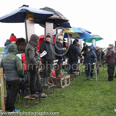 The betting ring at Tyrella Point to Point