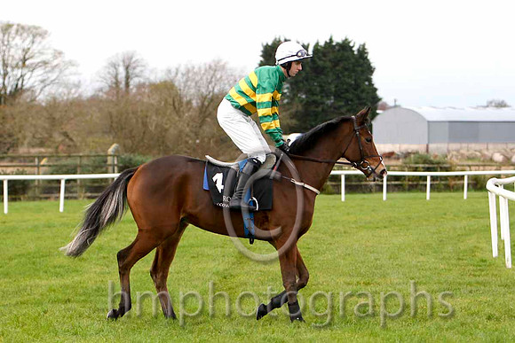 Stocktons Wing & M P Walsh - Winner (4, emerald green & orange hoops) - FT8E7531-e2