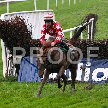 Fitzgutentyte , 6th - Jockey D N Russell -FT8E5435-ejpg