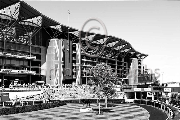 Ascot - IMG_9932-eb&w