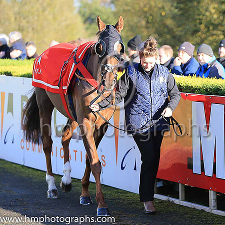 02nd Silviniaco Conti and N D Fehily ( 5 , pink,large purple spots ) Trainer - P F Nicholls , Owner - Chris Giles  Potensis Bloodstock Ltd