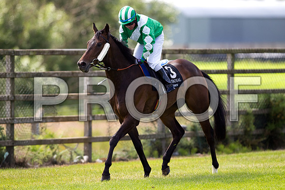 The Rossmeister (3), Jockey D M Grant 8th - FT8E1335-e3a4j