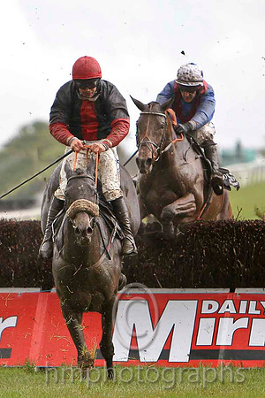 Forestside & R C Colgan ( dark blue, red panel) - 5th & Auenschutze & E J O'Connell ( royalblue, red chevron) - 4th - FT8E2910-e