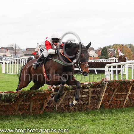 08th Macs Bach and P T Enright ( 3 , white, red spots ) Trainer - Ms M Flynn , Owner - Santry Power Walsh Syndicate