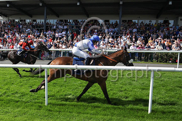 01st Typical Thomas (9 , blue, white diabolo ) Jockey: Peter Smithers7 , Trainer: James Andrew Fahey
