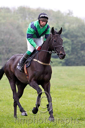 Teluel , 8th, Jockey J A Jenkins - FT8E2797-e