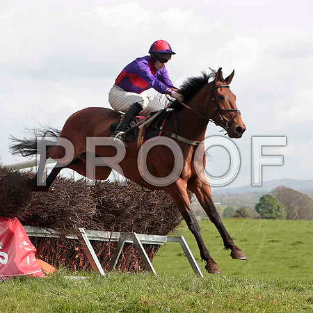 Cilliseal , 2nd, Jockey - M J O'Hare - CU2D4605-e