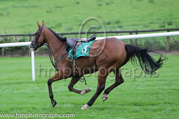 Fell Myles Ahead and D N Russell ( 3 , yellow, royal blue seams ) Trainer - T M Walsh , Owner - Henry McCourt