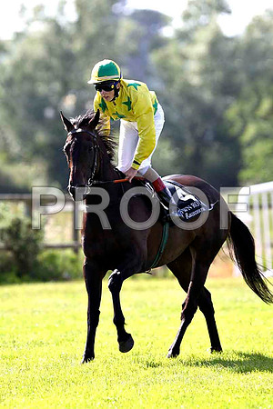 Belle Noverre 3rd, Jockey M Harley - FT8E1404-e