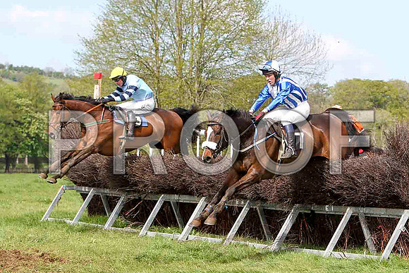 Bear Witness , Winner, Jockey - Derek O'Connor & Mourne Paddy - Unplaced, Jockey J D Moore - FT8E2062-e2