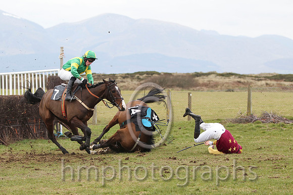 11 - Back To The Party & J E Flynn - PU (7, emerald green, yellow braces ) & 06 - She'll Tell Meda & J Cresswell - Fell (14, maroon, gold stars ) - FT8E0814-7
