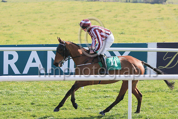 01st Space Cadet and Mr B W Harvey 7 ( 11 , red and white stripes ) Trainer - G O'Loughlin , Owner - C Jones on the way to the start