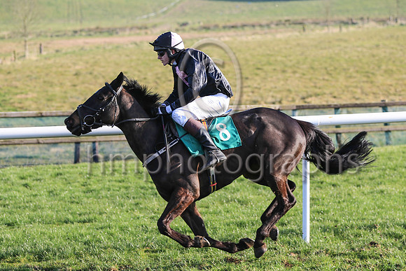 Aidan Casement from Loughin Island on his second ever ride on the track came home in 11th place out of 15 runners in the Molson Coors Flat Race on My Wings trained and owned by Neill McCluskey at the