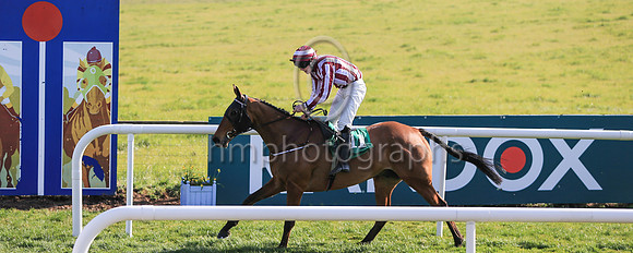 01st Space Cadet and Mr B W Harvey 7 ( 11 , red and white stripes ) Trainer - G O'Loughlin , Owner - C Jones