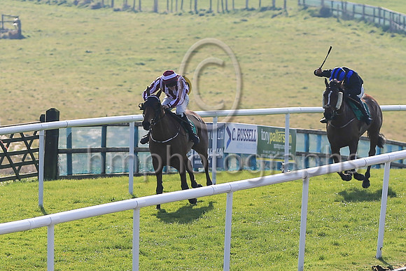 01st Space Cadet and Mr B W Harvey 7 ( 11 , red and white stripes ) Trainer - G O'Loughlin , Owner - C Jones