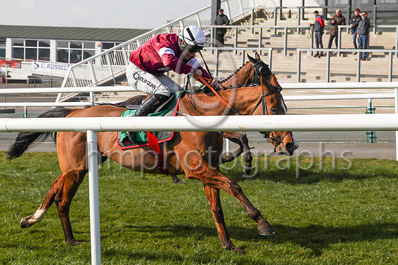 01st The Very Man and JLP Dempsey ( 6 , maroon, white star ) Trainer - G Elliott , Owner - Gigginstown House Stud