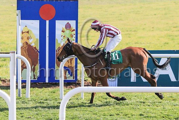 01st Space Cadet and Mr B W Harvey 7 ( 11 , red and white stripes ) Trainer - G O'Loughlin , Owner - C Jones