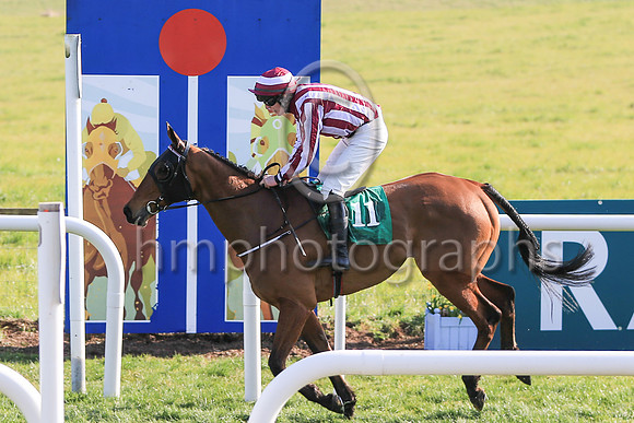 01st Space Cadet and Mr B W Harvey 7 ( 11 , red and white stripes ) Trainer - G O'Loughlin , Owner - C Jones