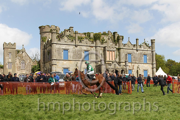 Horses leave the parade ring to the start at Necarne P2P