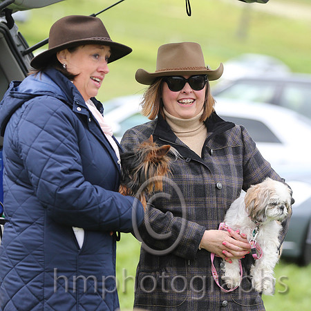 Watching the races at Necarne P2P