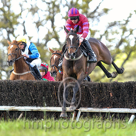 01st Without Wings ( 6 ) and M J O'Hare - Trainer : Liam Lennon - red, purple cross