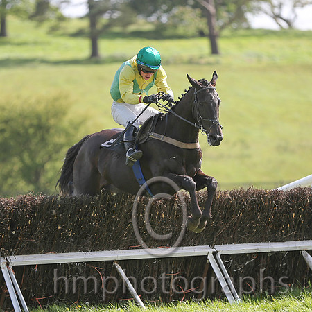 01st Mr Bolt ( 8 ) and N McParlan - Trainer : Sean McParlan - green and yellow diabolo